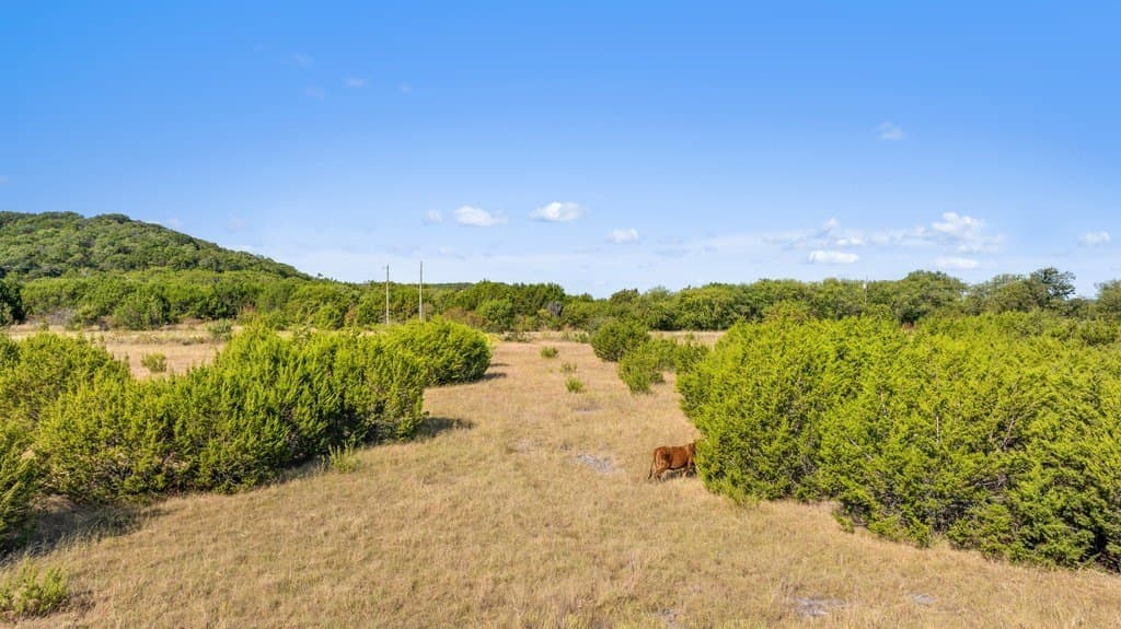 11 acres in Bosque County - photo 6