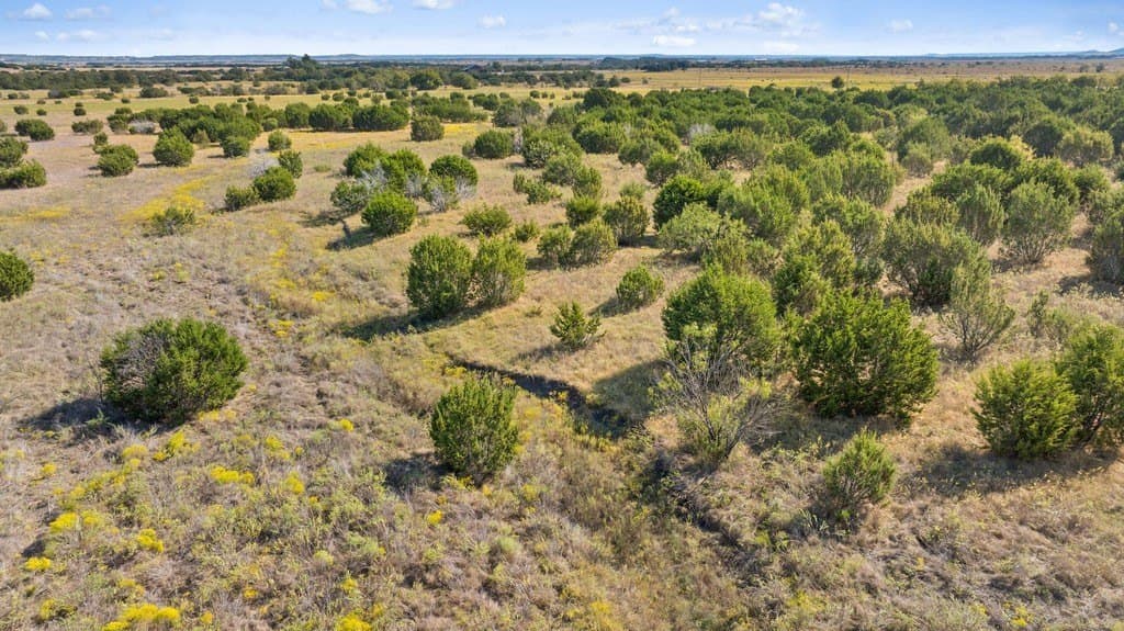 11 acres in Bosque County - photo 10