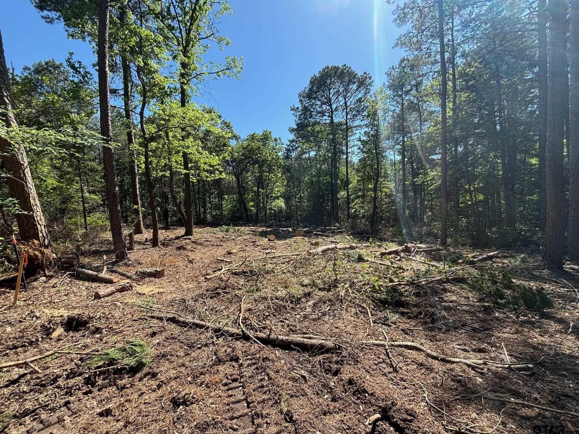 1.06 acres in Upshur County gallery image 3