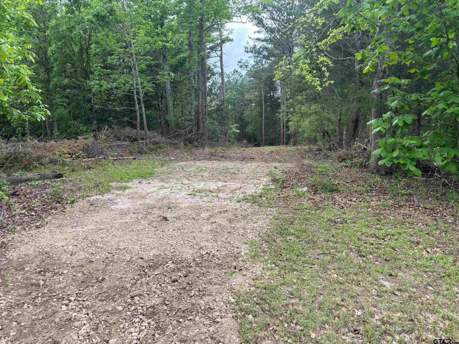1.06 acres in Upshur County gallery image 2