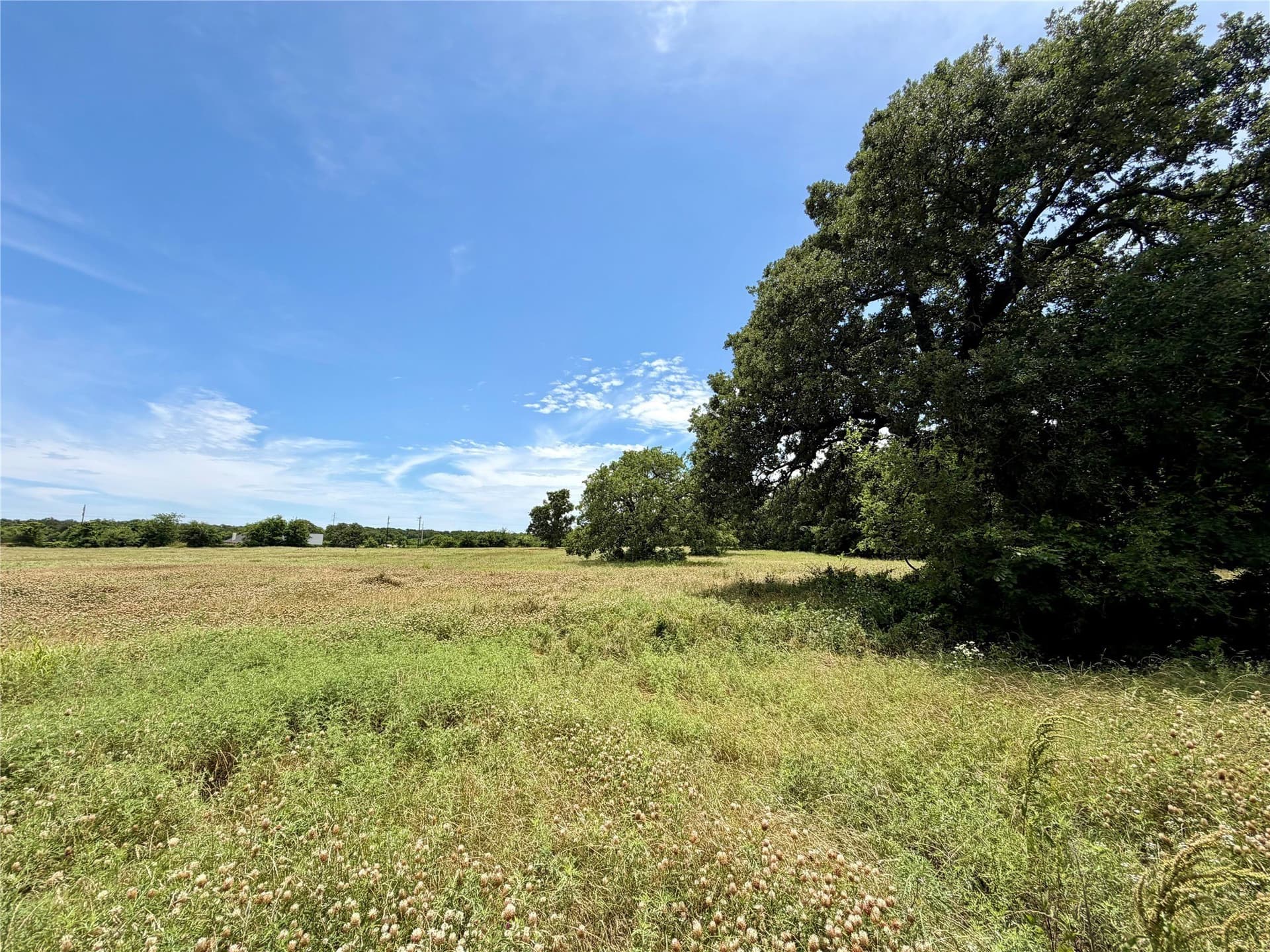 11.73 acres in Montague County - photo 5