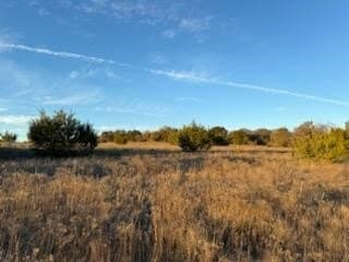 4 acres in Erath County - photo 3