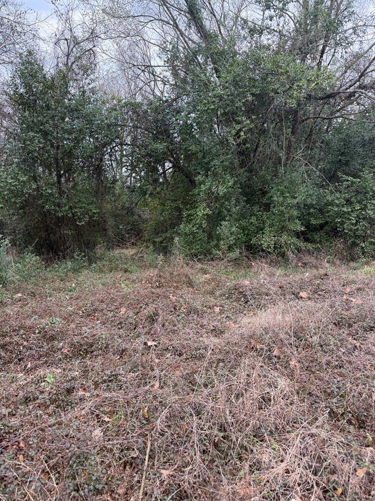 0.38 acres in Texas County gallery image 3