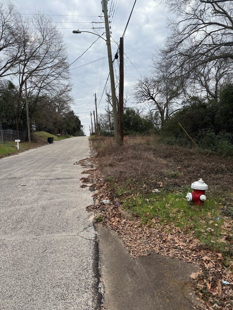 0.38 acres in Texas County gallery image 4