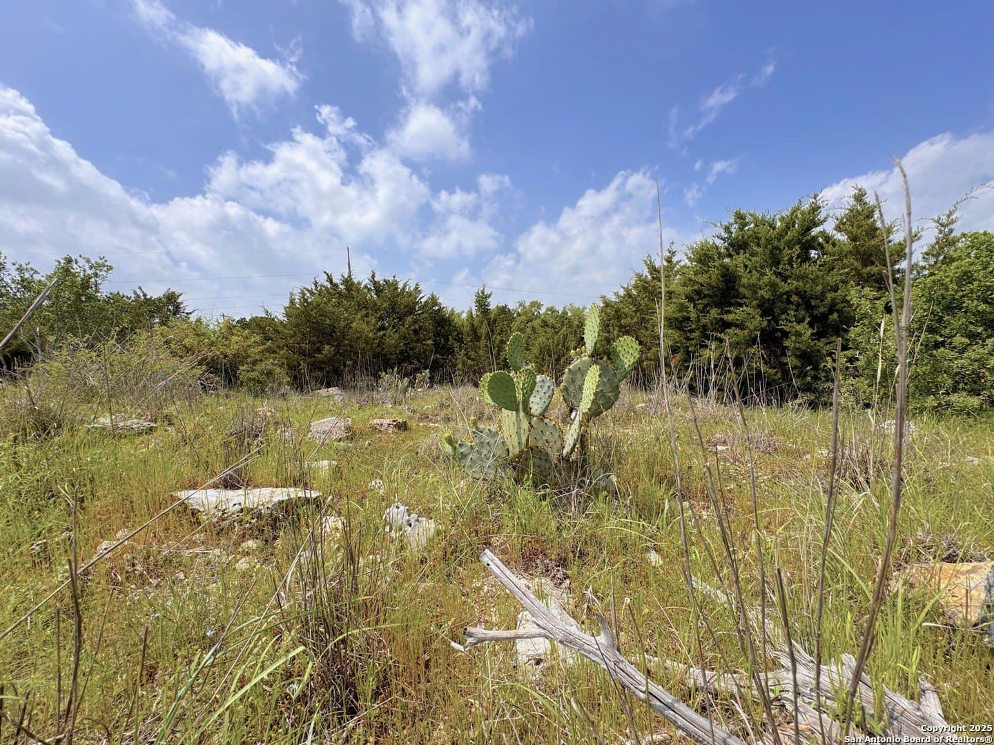 1.23 acres in Comal County gallery image 2