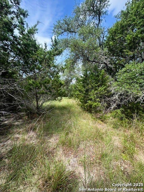 1.23 acres in Comal County featured view