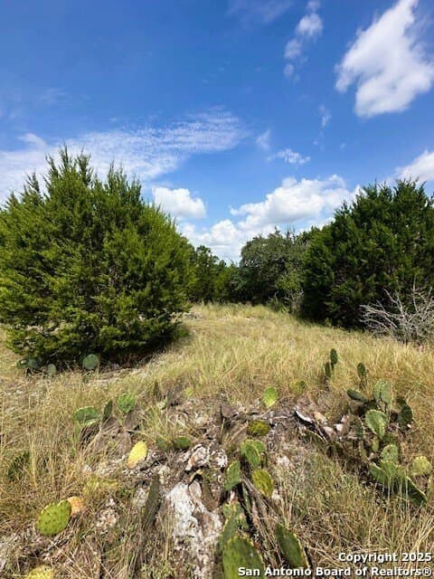 1.23 acres in Comal County - photo 7