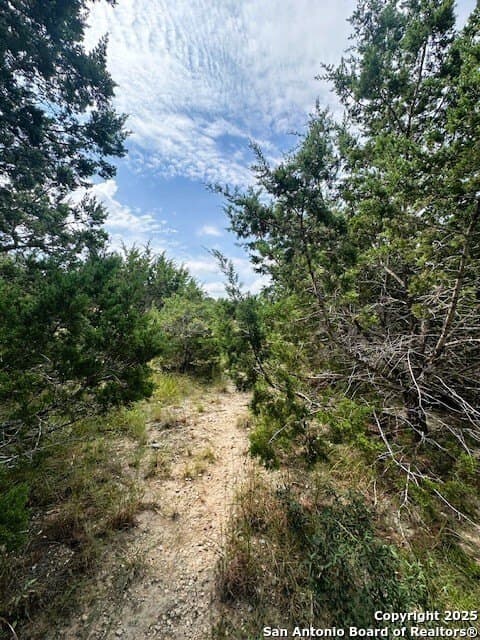 1.23 acres in Comal County - photo 6