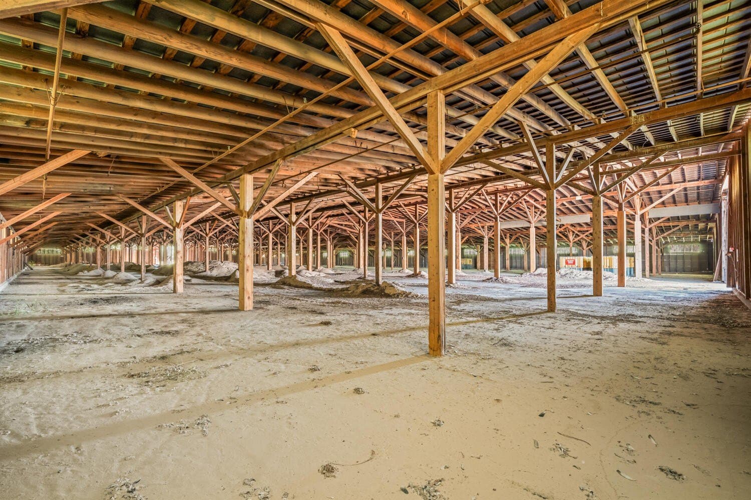 31.9 acres in Lamb County - photo 33