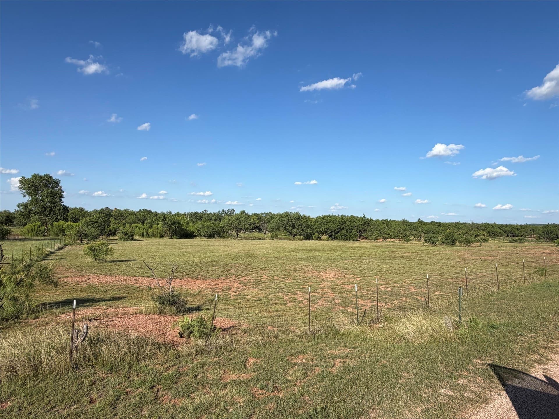 5.67 acres in Taylor County - photo 4