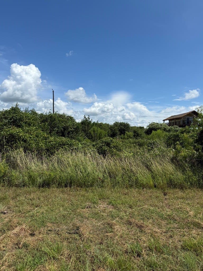 0 acres in Texas County gallery image 3