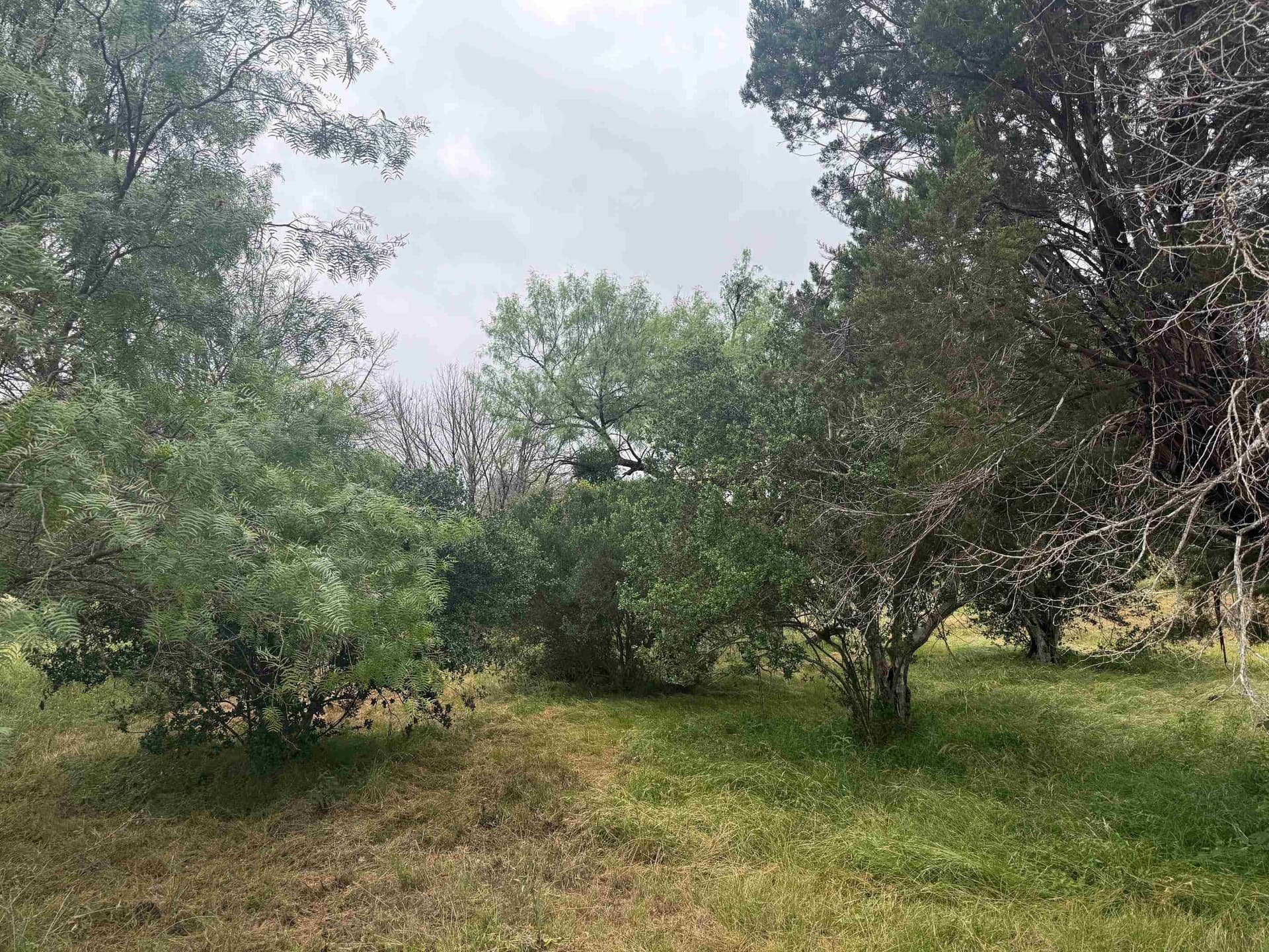 0.31 acres in Llano County featured view