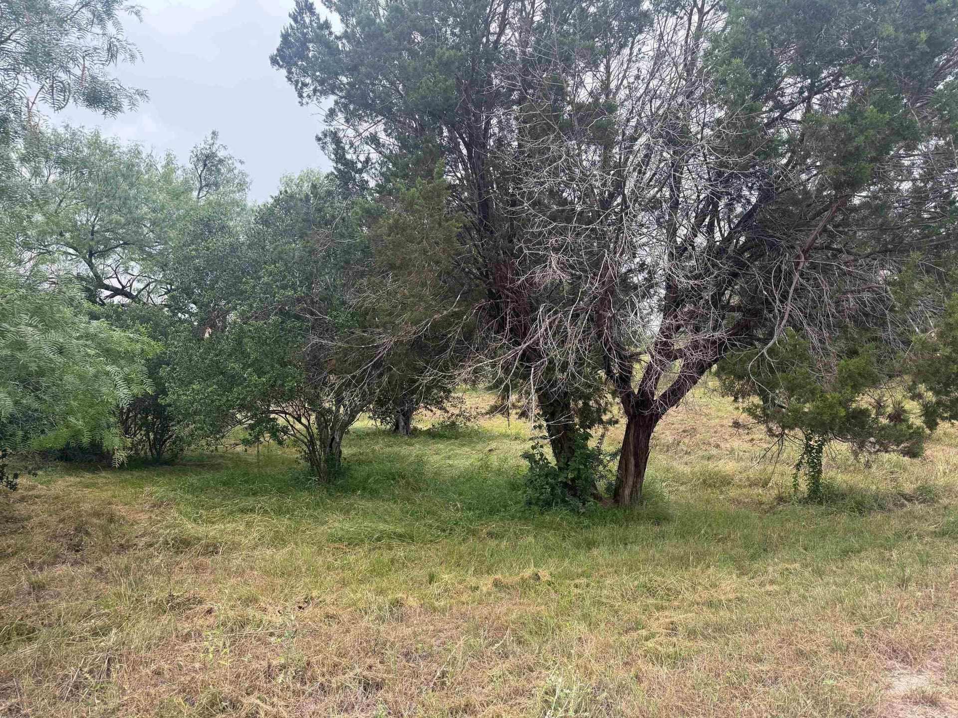 0.31 acres in Llano County gallery image 2