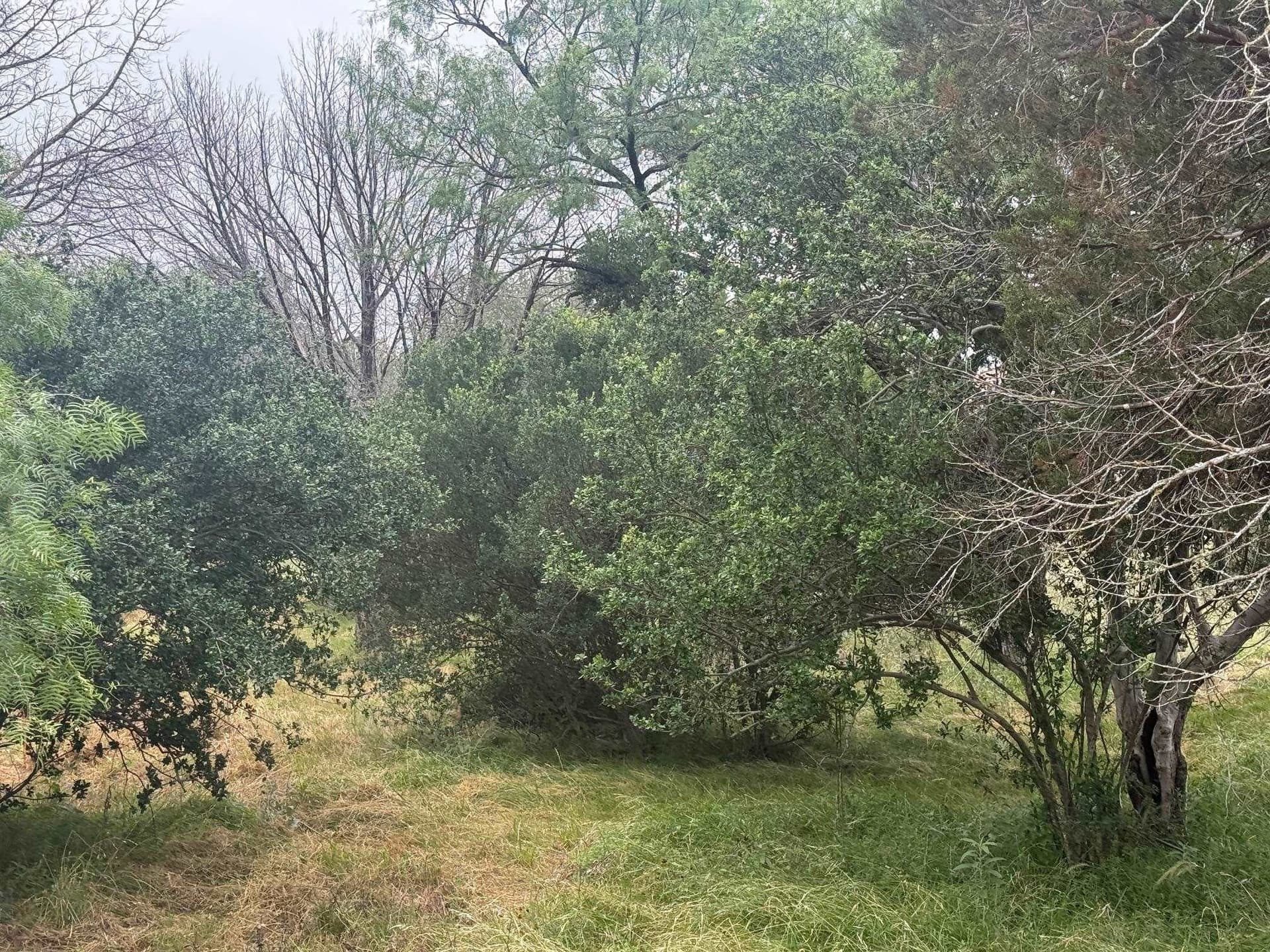 0.31 acres in Llano County gallery image 4