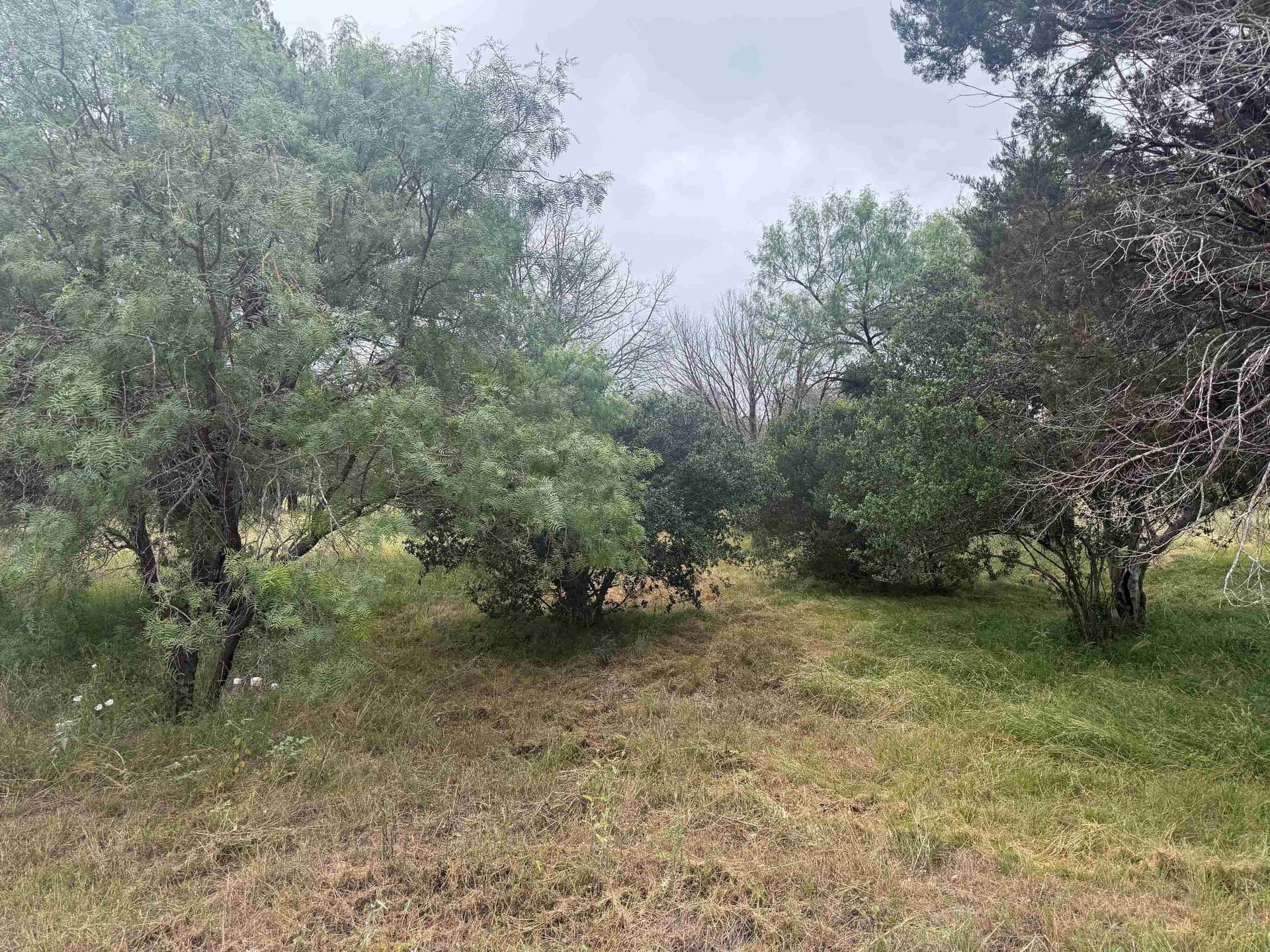 0.31 acres in Llano County gallery image 3