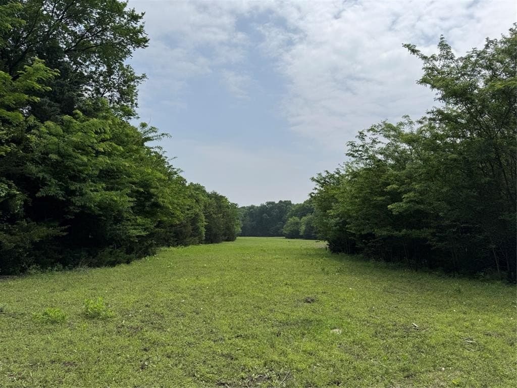 47.86 acres in Collin County gallery image 4