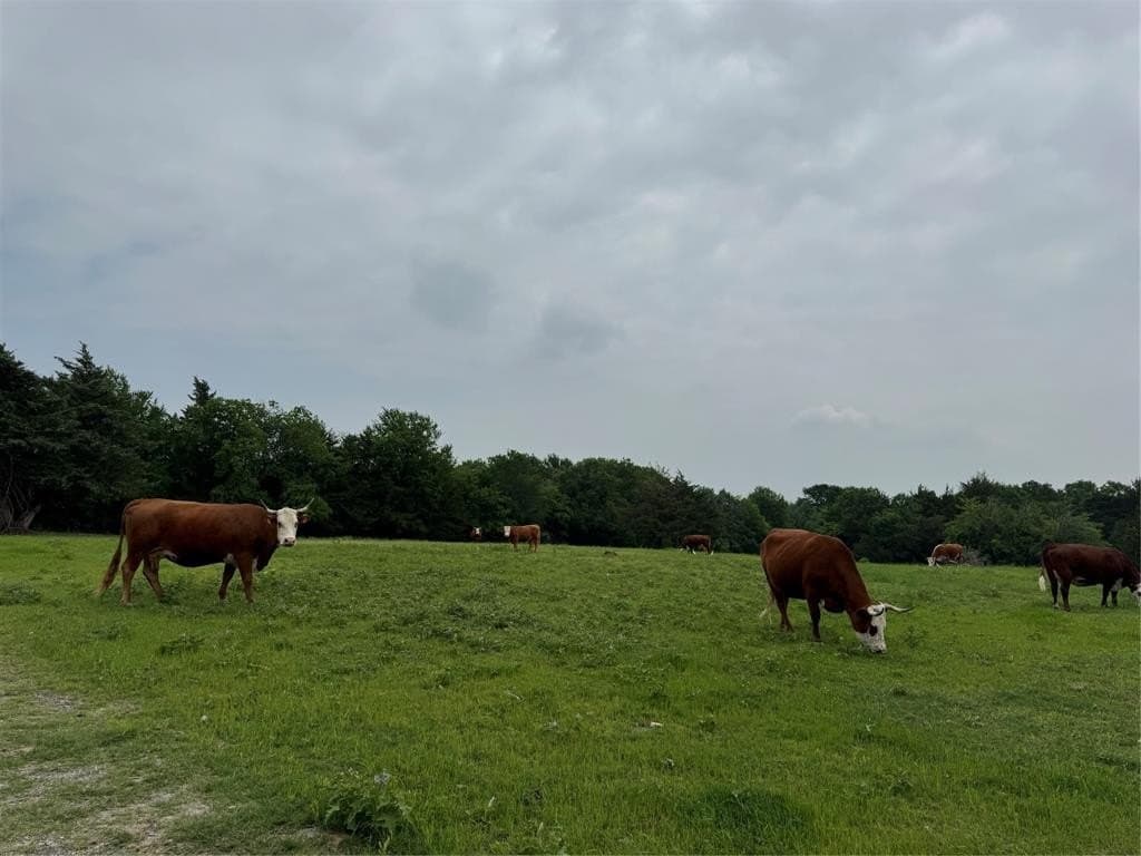 47.86 acres in Collin County featured view