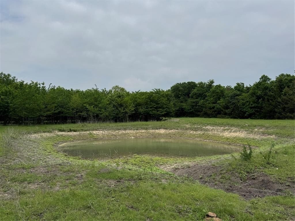 47.86 acres in Collin County gallery image 3