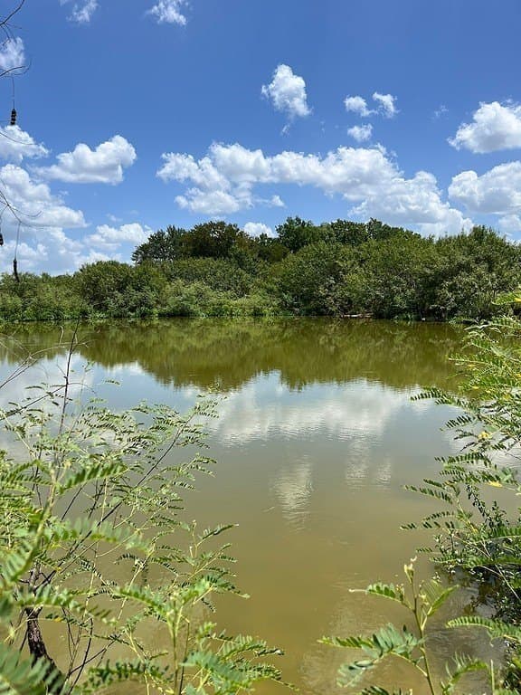 134.33 acres in Fayette County gallery image 4