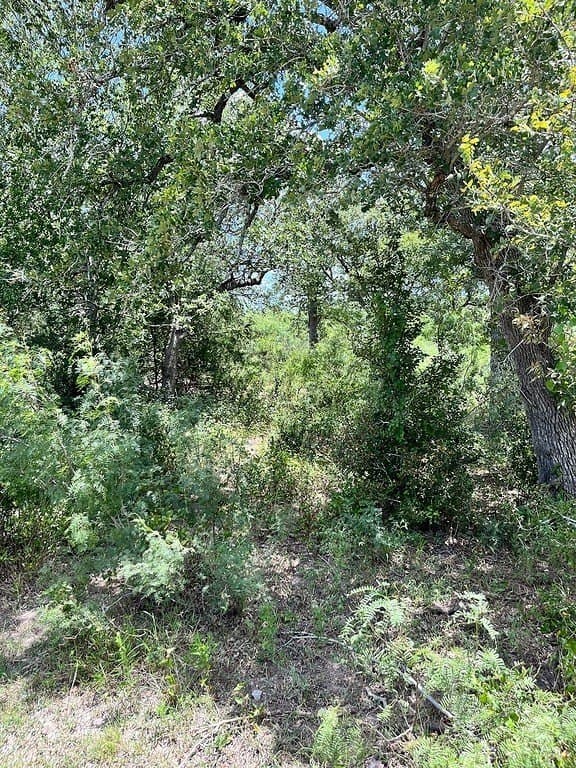 134.33 acres in Fayette County featured view