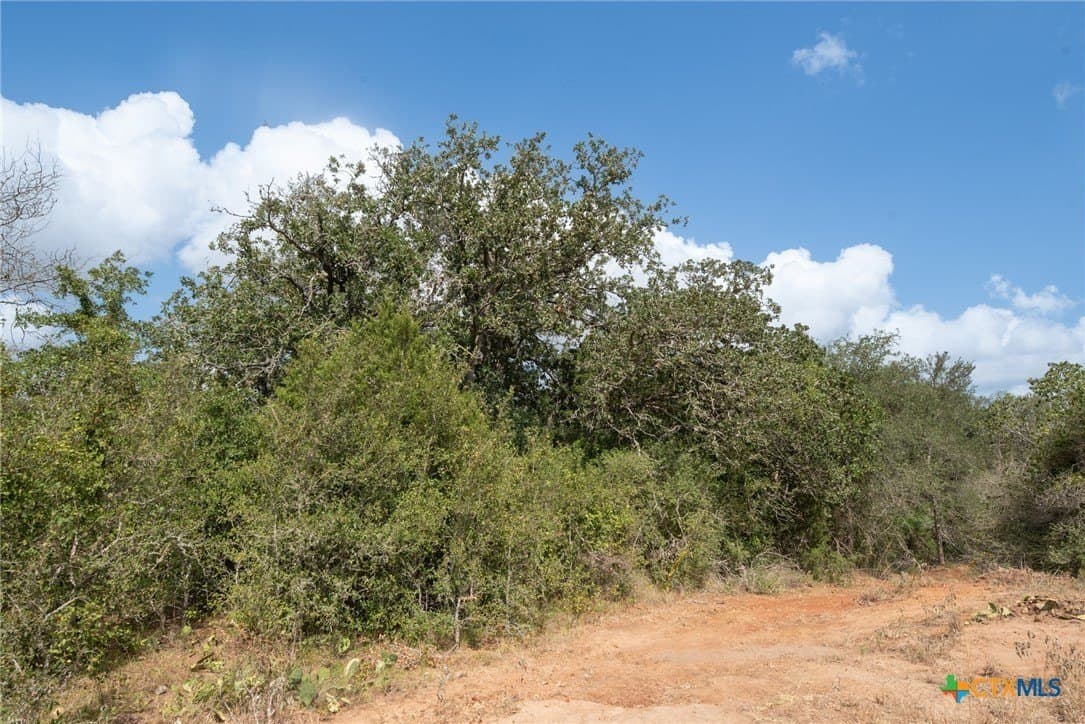 30.47 acres in Gonzales County - photo 5