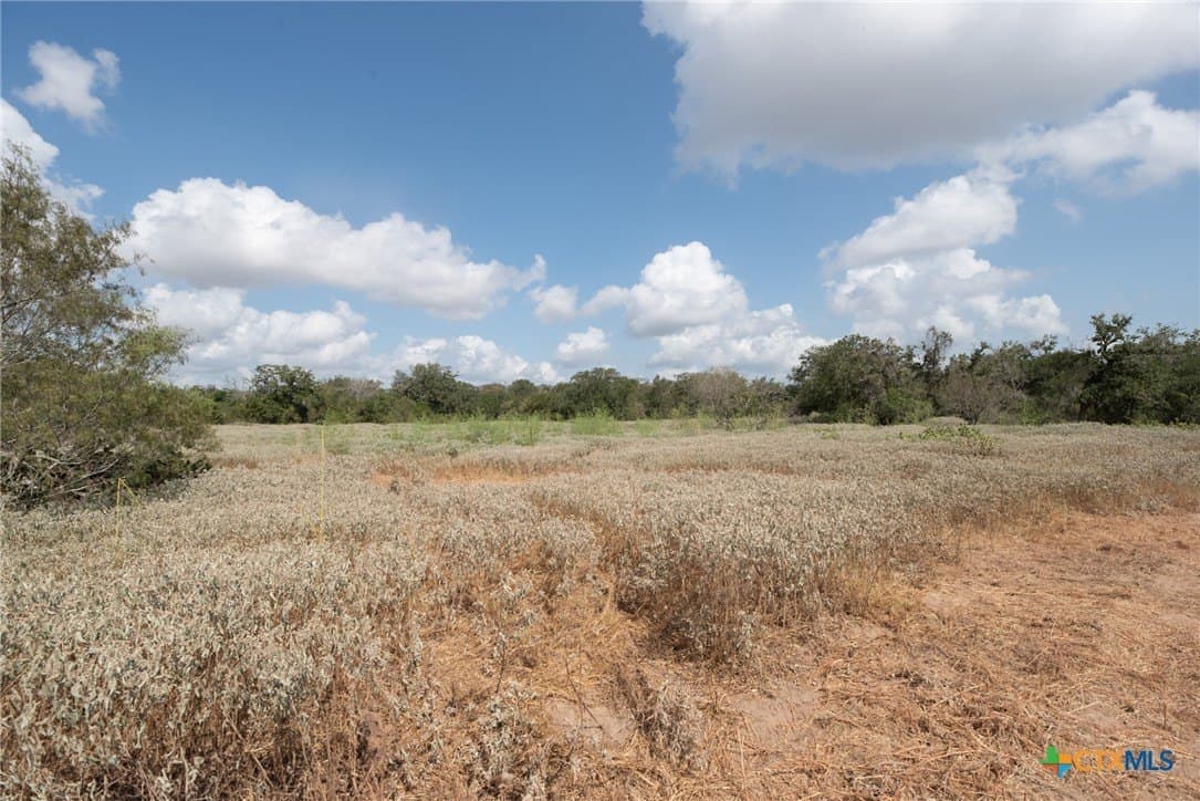 30.47 acres in Gonzales County - photo 4