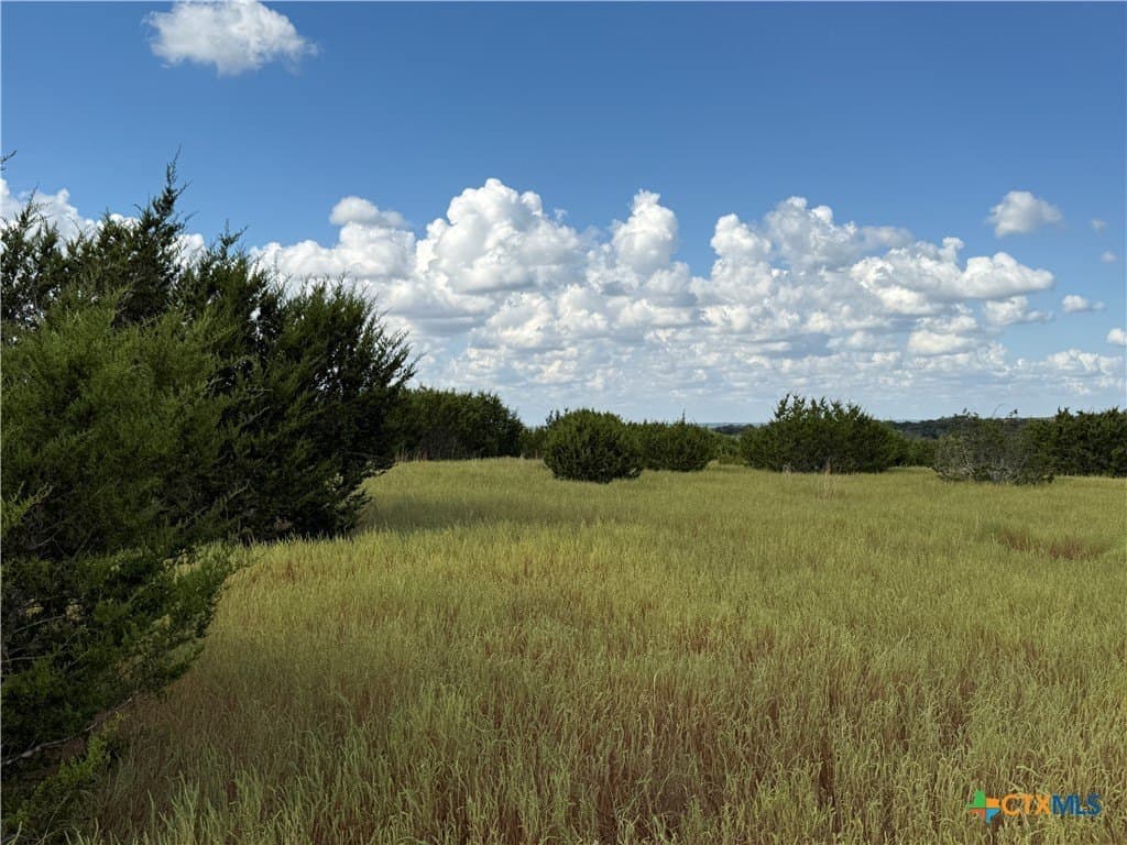 10.01 acres in Hamilton County gallery image 3