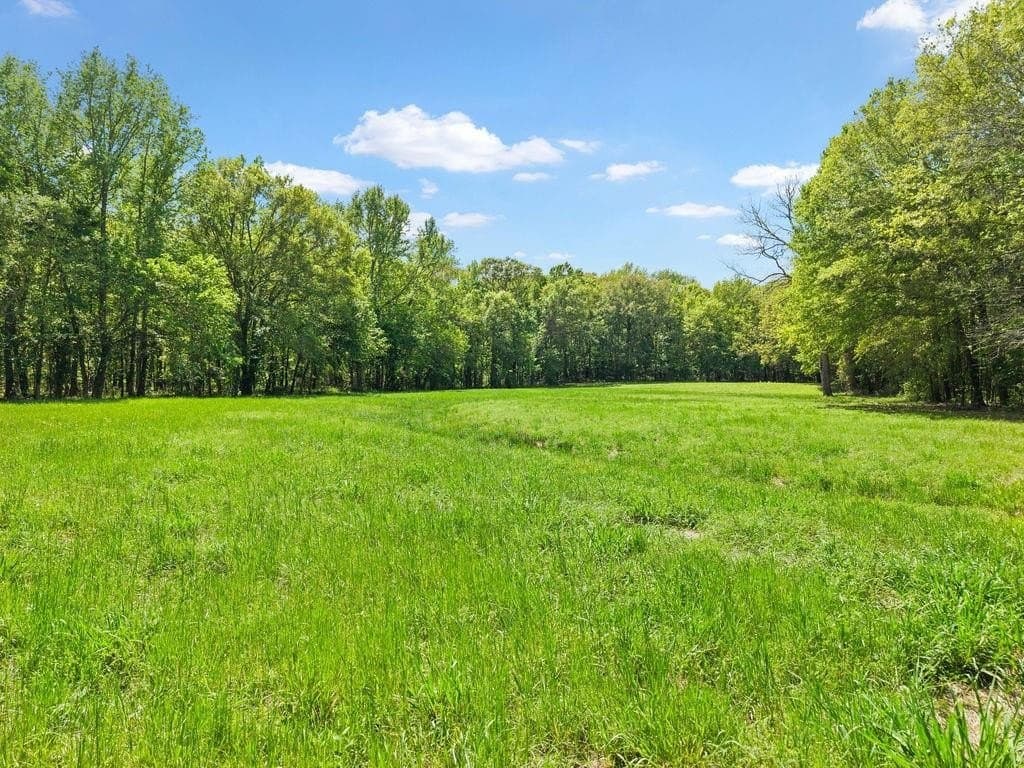 20.35 acres in Van Zandt County gallery image 3