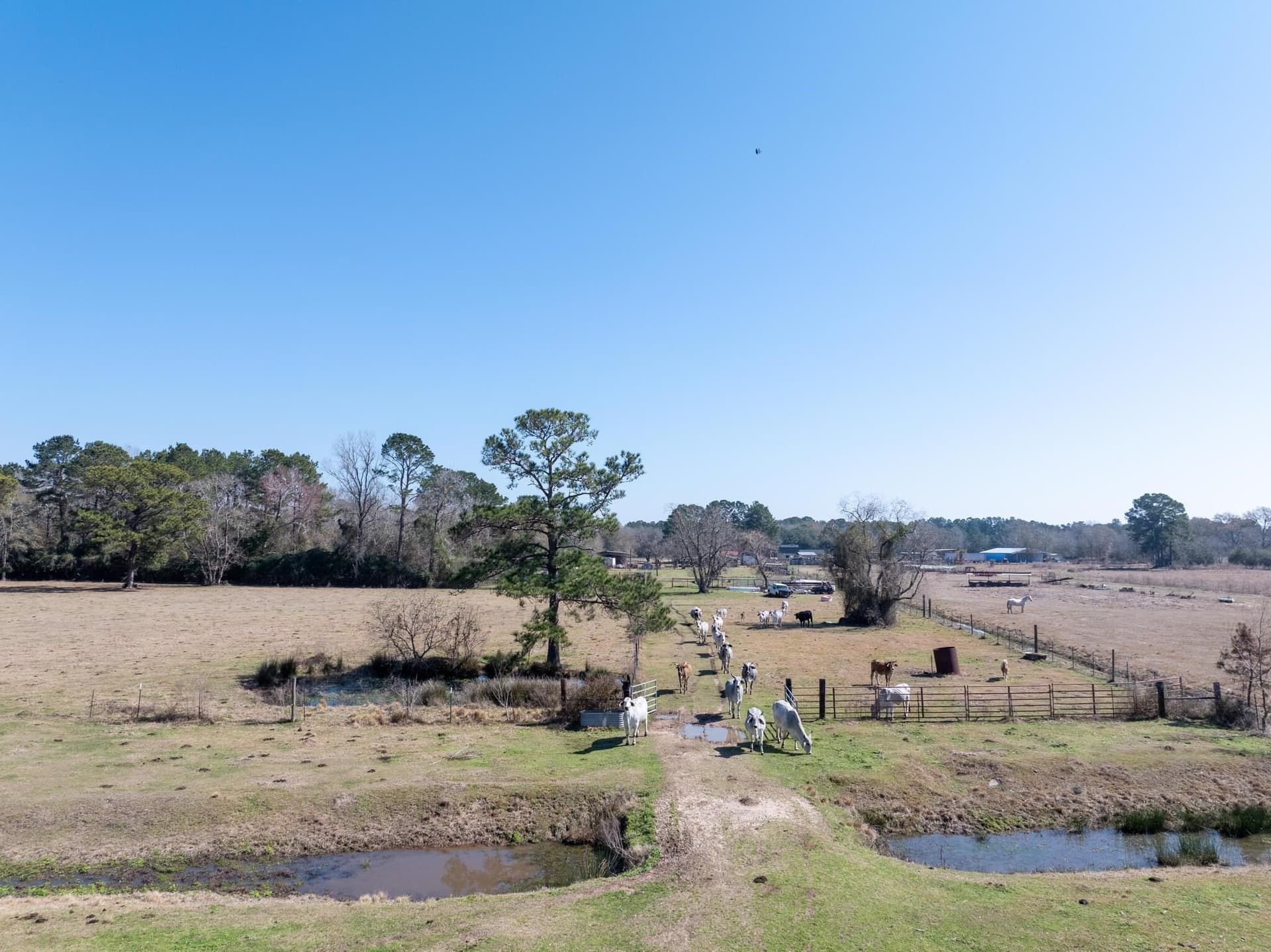 30.9 acres in Texas County - photo 43