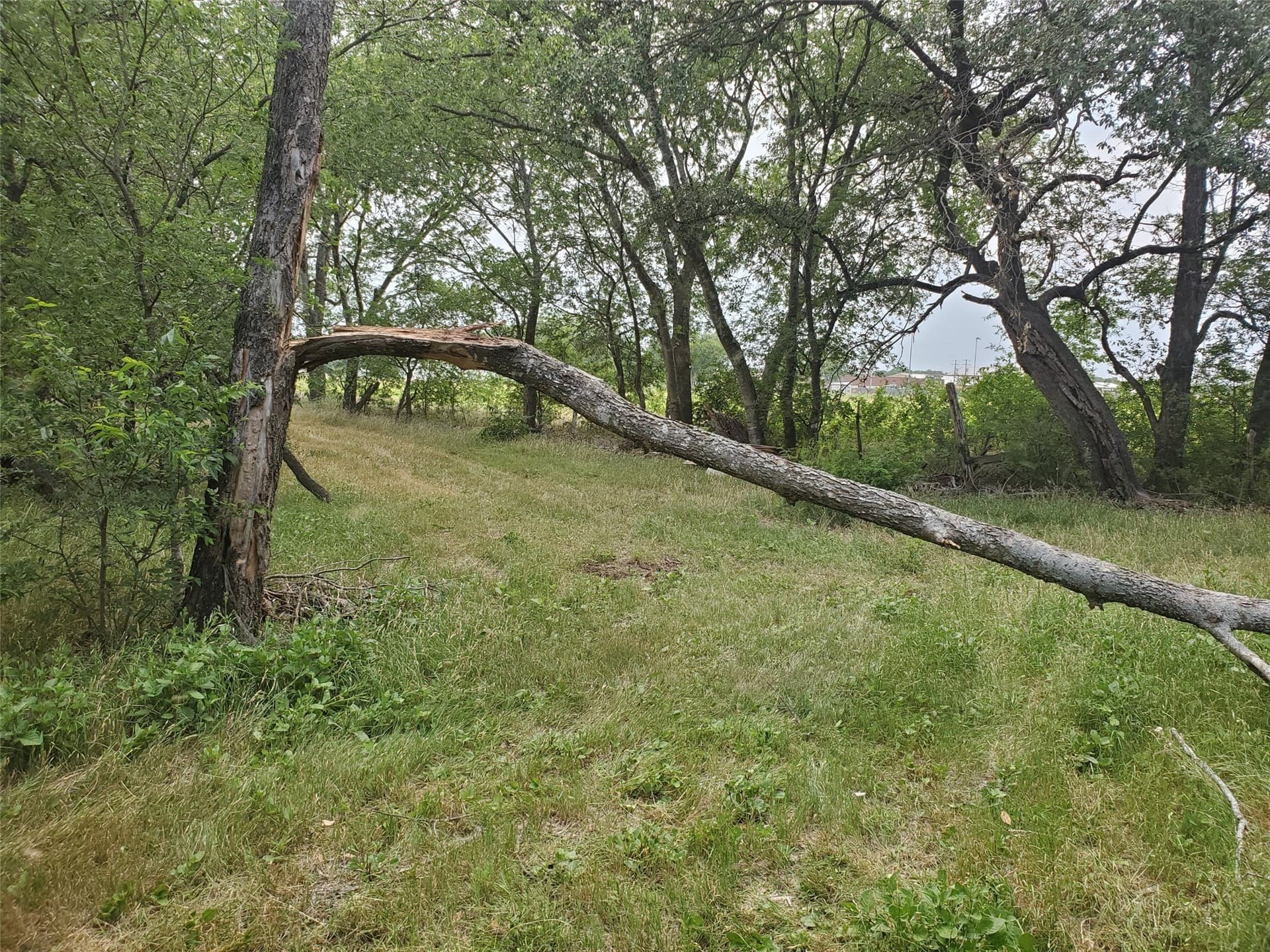 9.85 acres in Hill County featured view