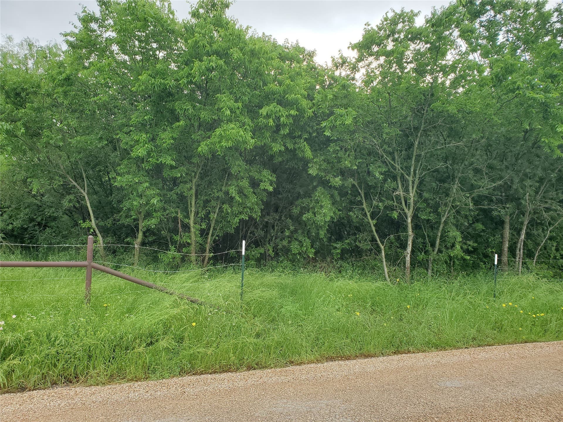 9.85 acres in Hill County gallery image 3