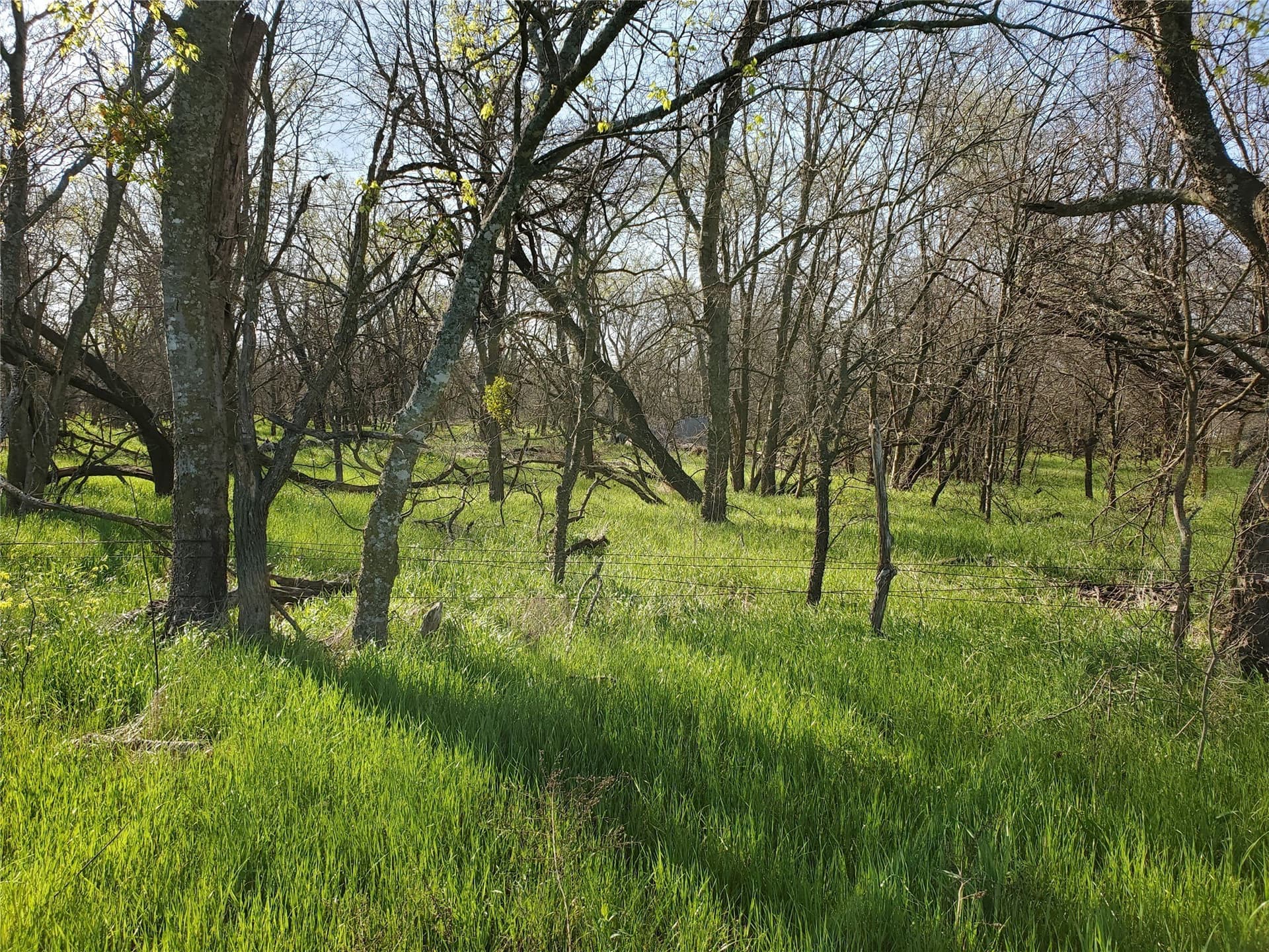 9.85 acres in Hill County gallery image 2