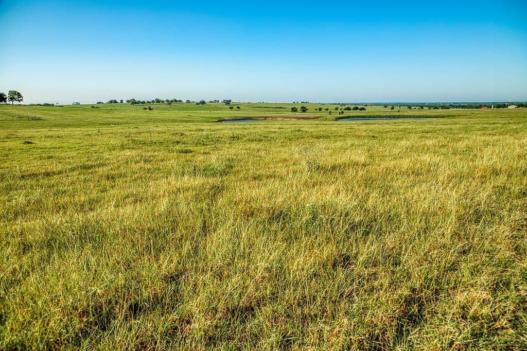 12.4 acres in Washington County gallery image 4