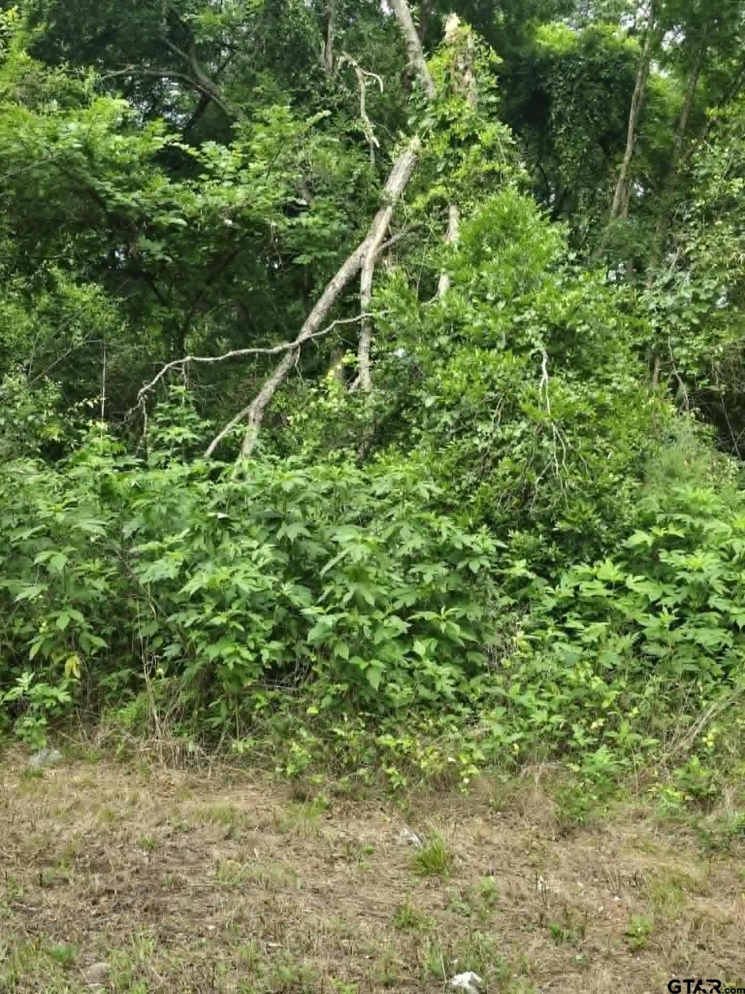 0.23 acres in Morris County