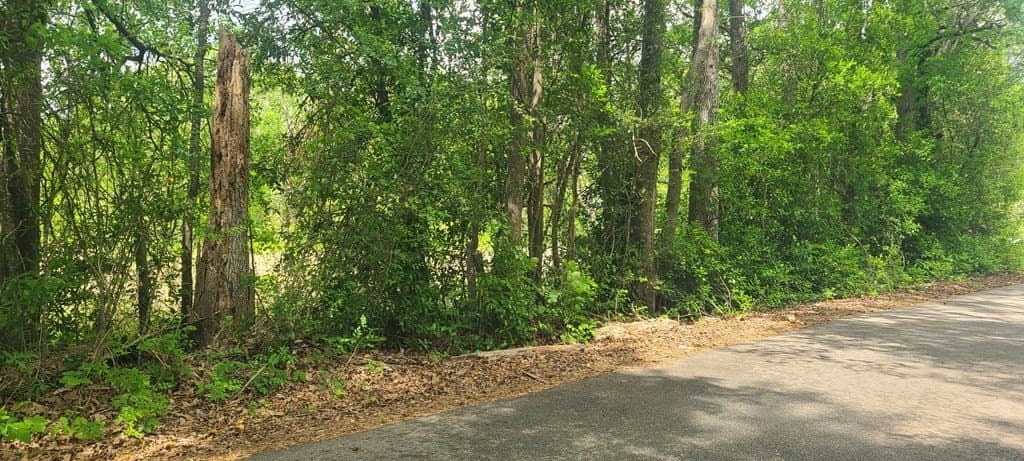 1.9 acres in Texas County gallery image 2