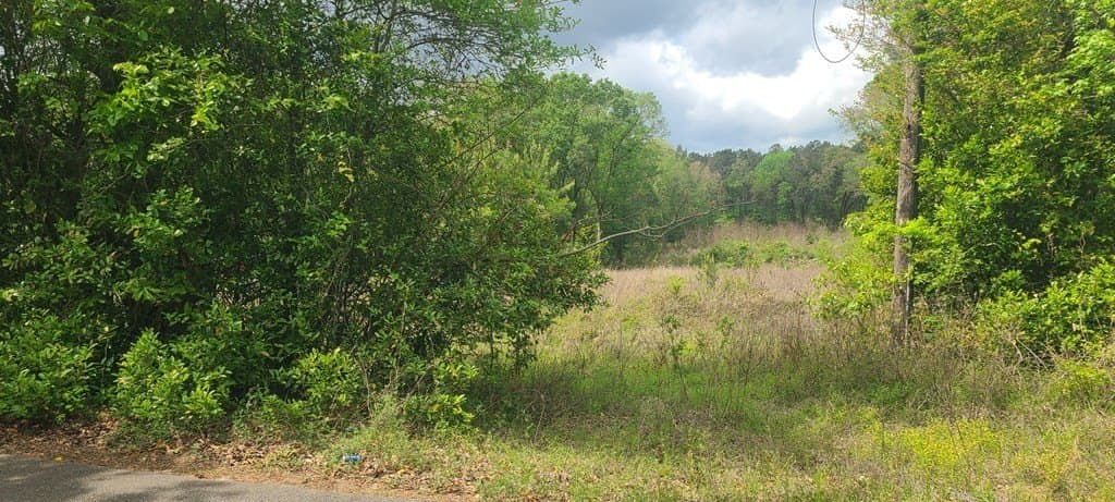 1.9 acres in Texas County gallery image 4