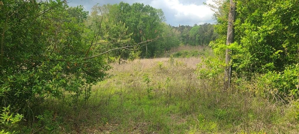 1.9 acres in Texas County