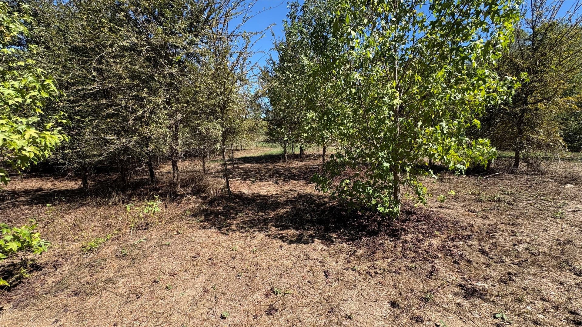 3.52 acres in Wood County - photo 6
