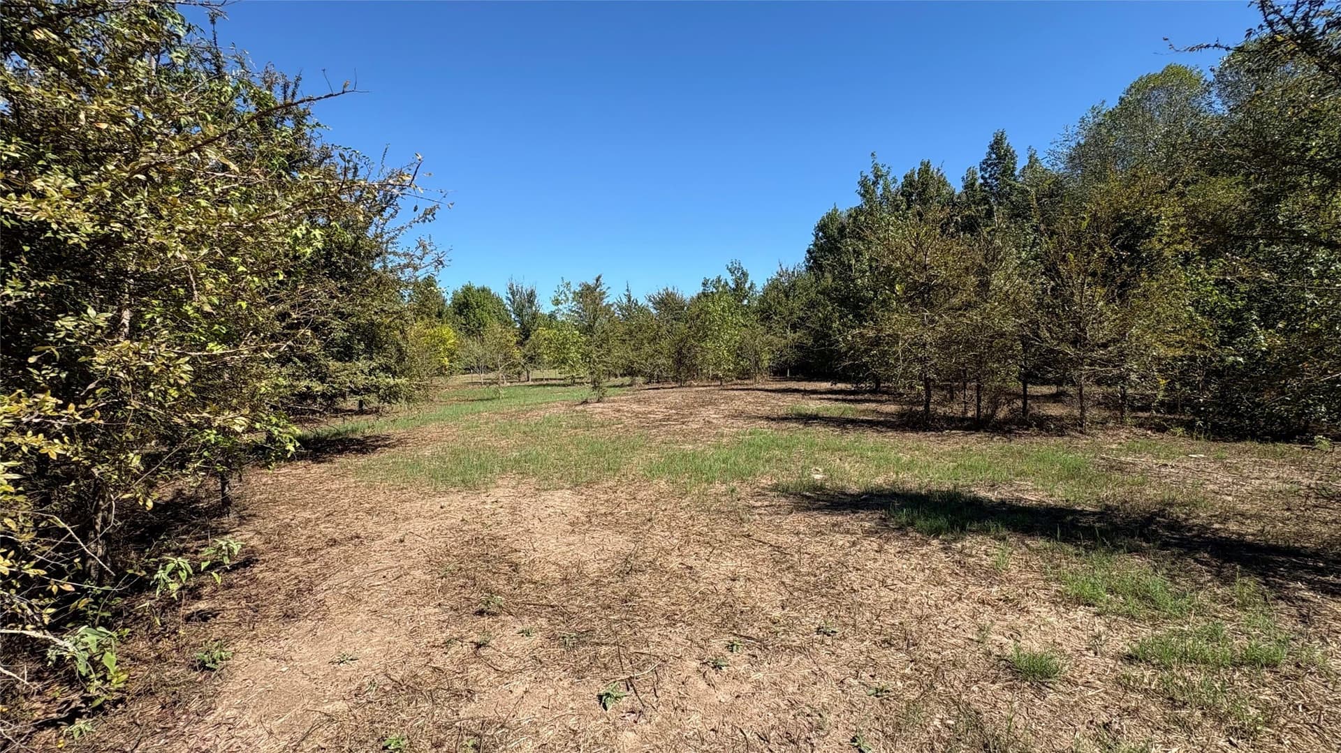 3.52 acres in Wood County - photo 7