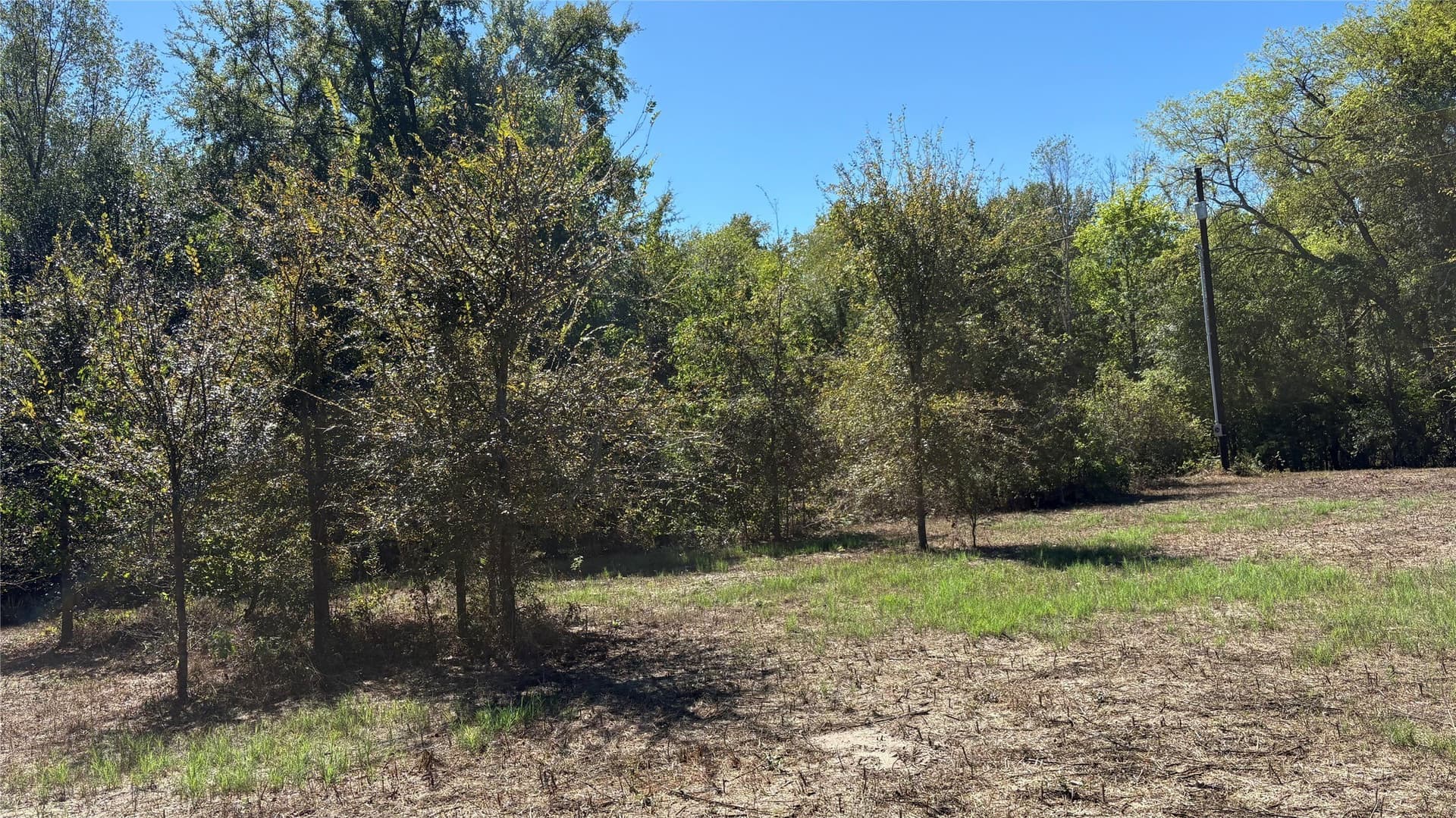 3.52 acres in Wood County - photo 18