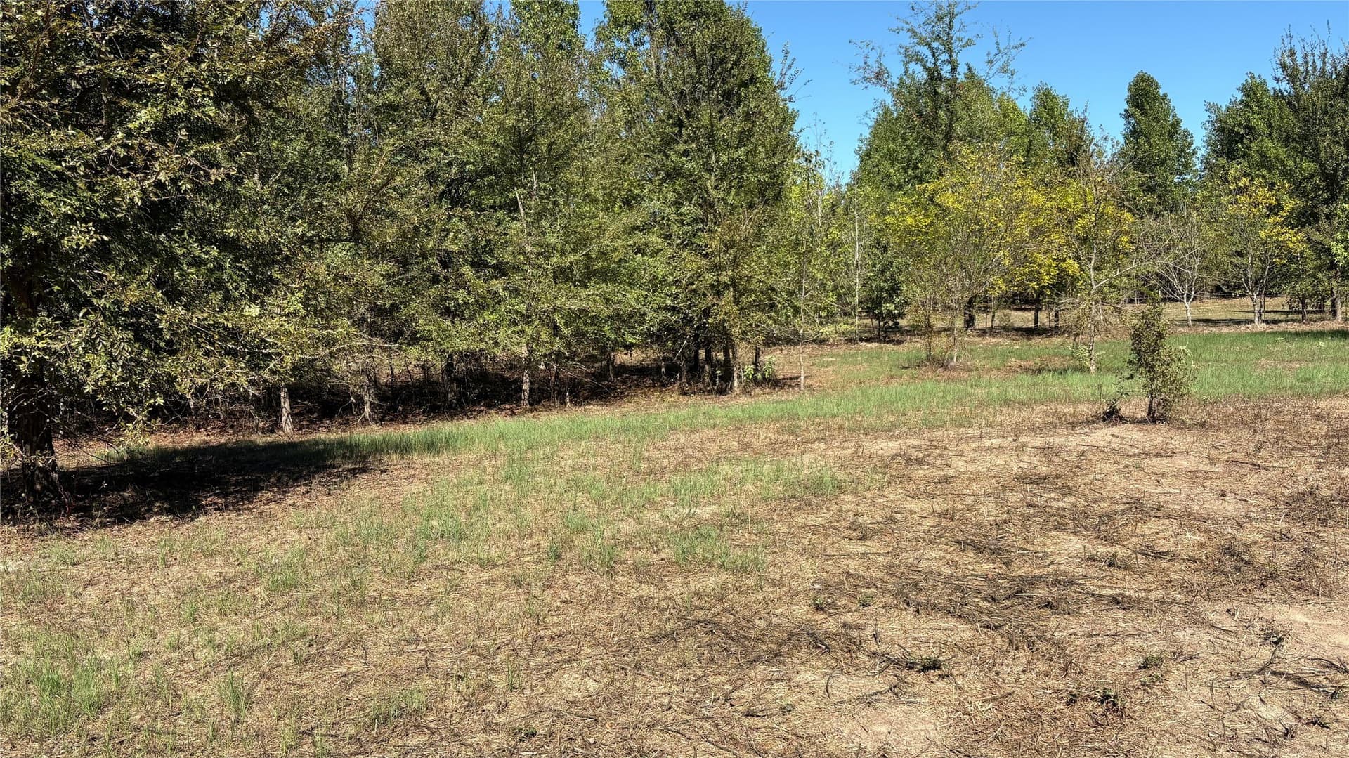 3.52 acres in Wood County
