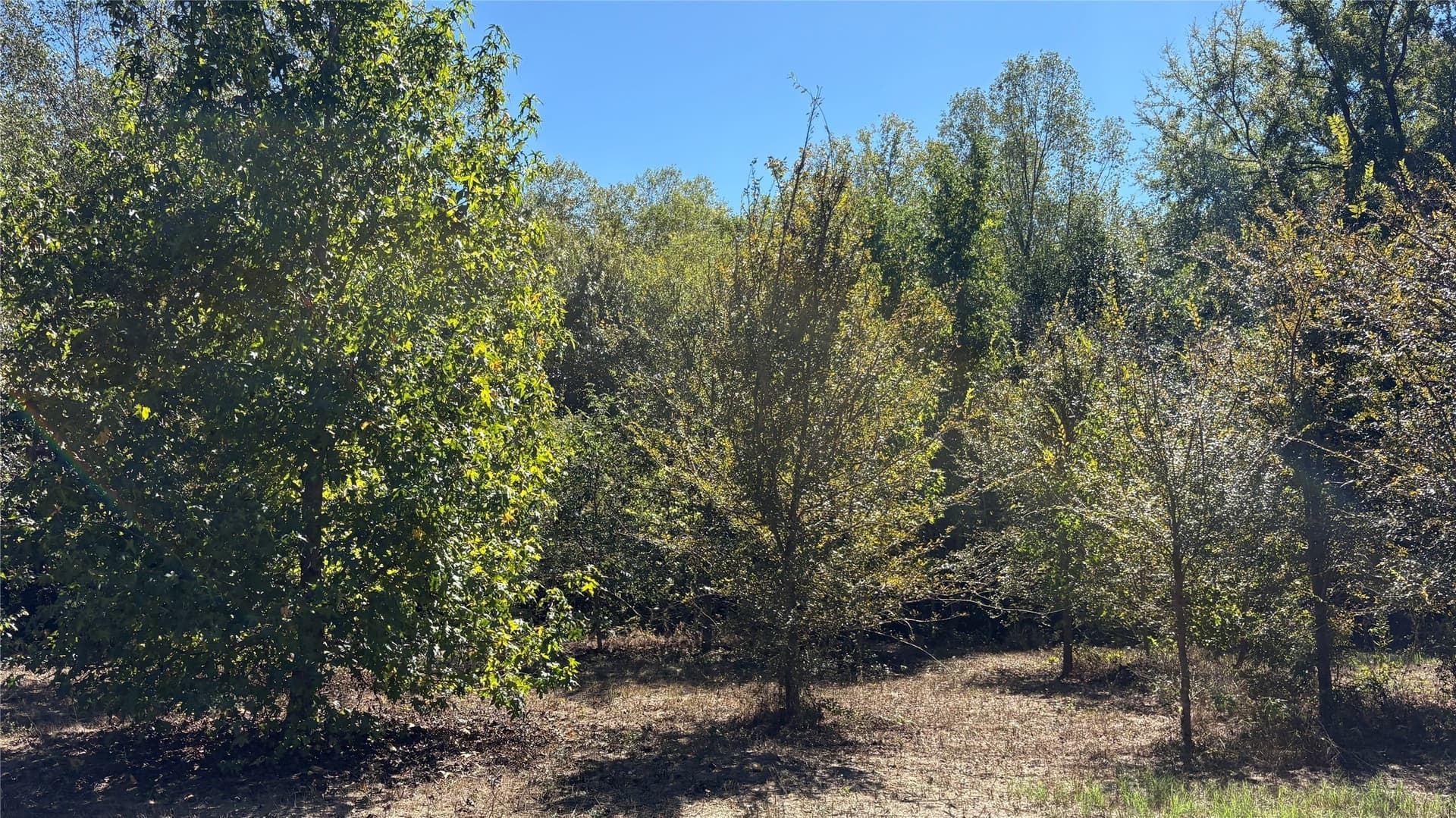 3.52 acres in Wood County - photo 19