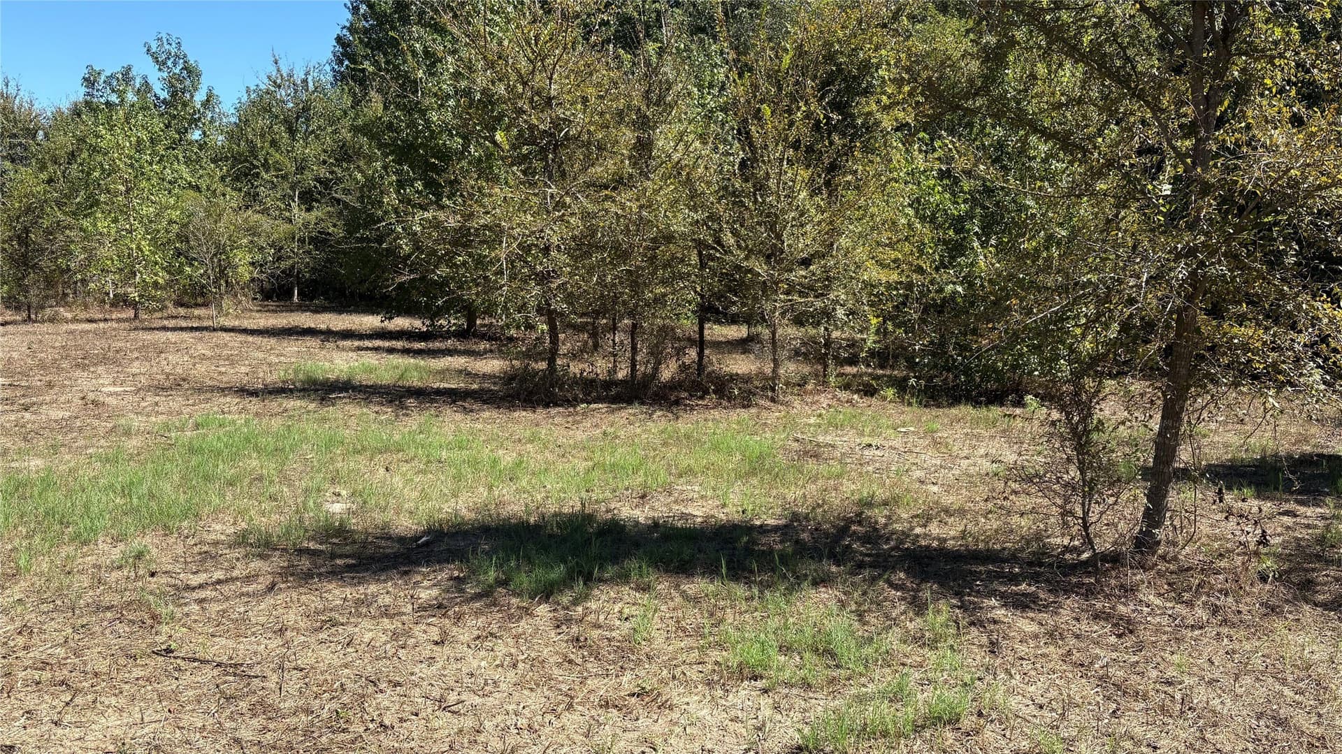 3.52 acres in Wood County - photo 9