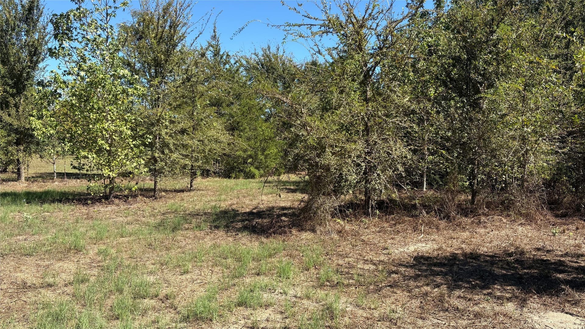 3.52 acres in Wood County - photo 15