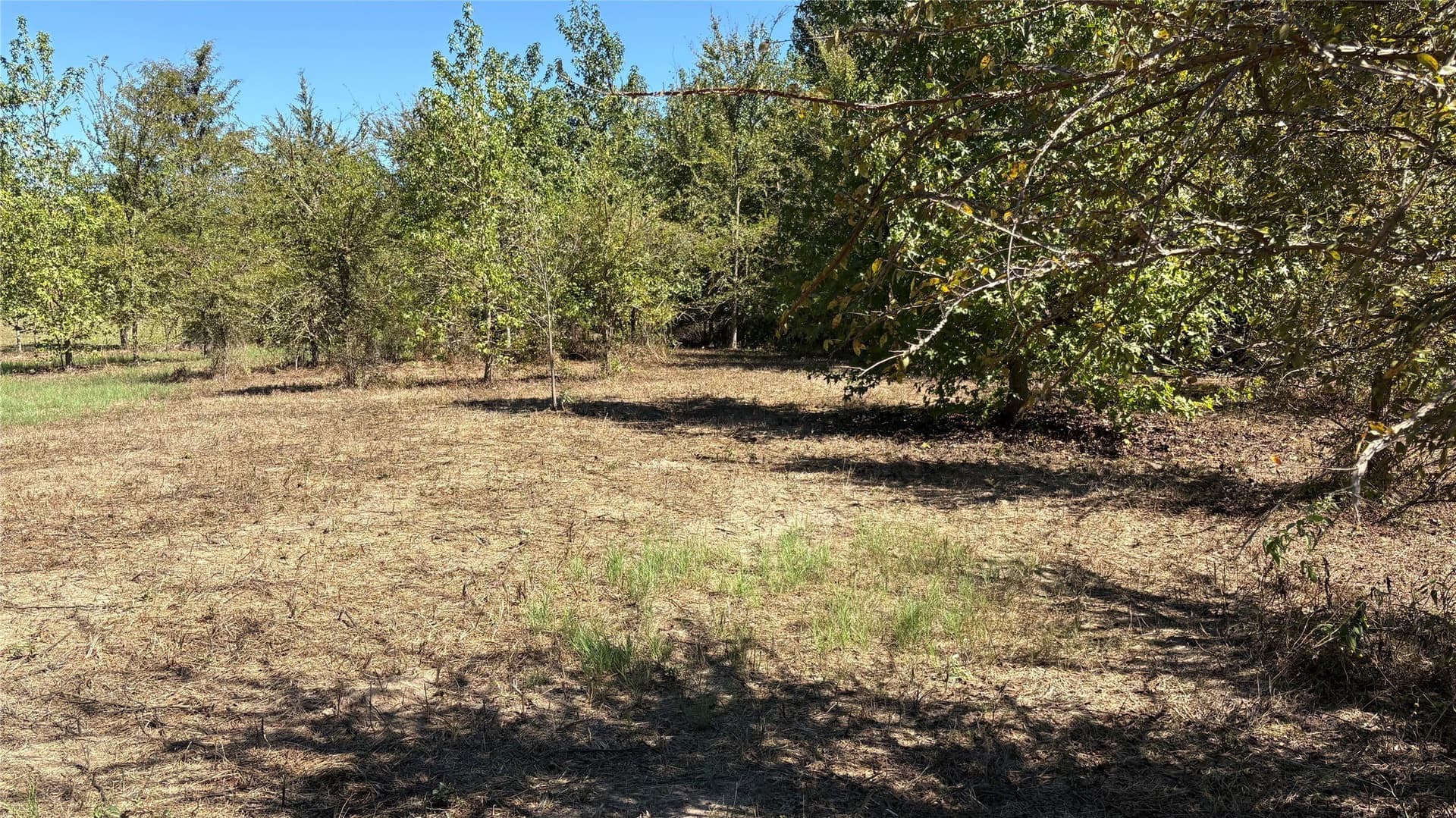 3.52 acres in Wood County - photo 11