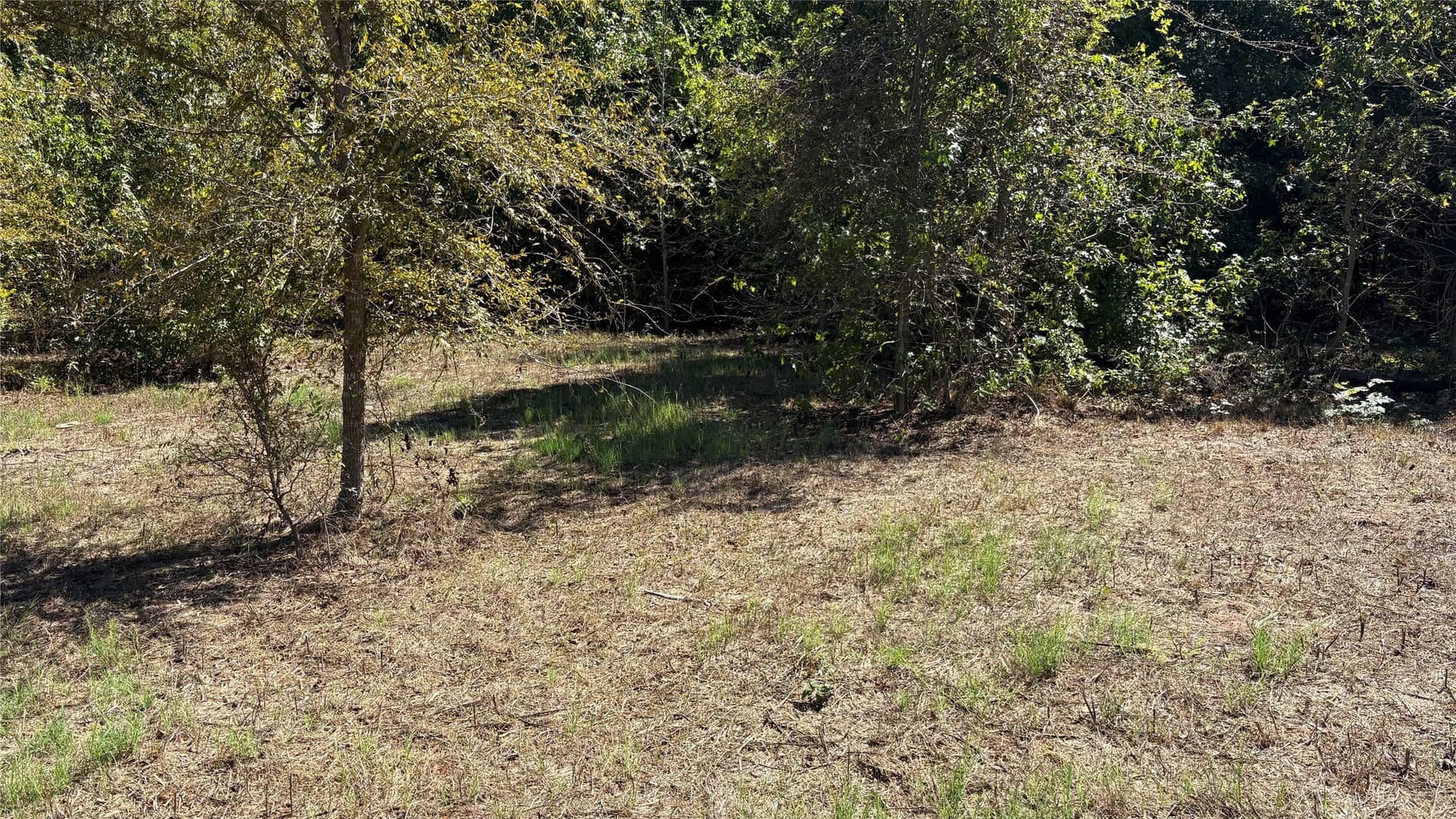 3.52 acres in Wood County - photo 10