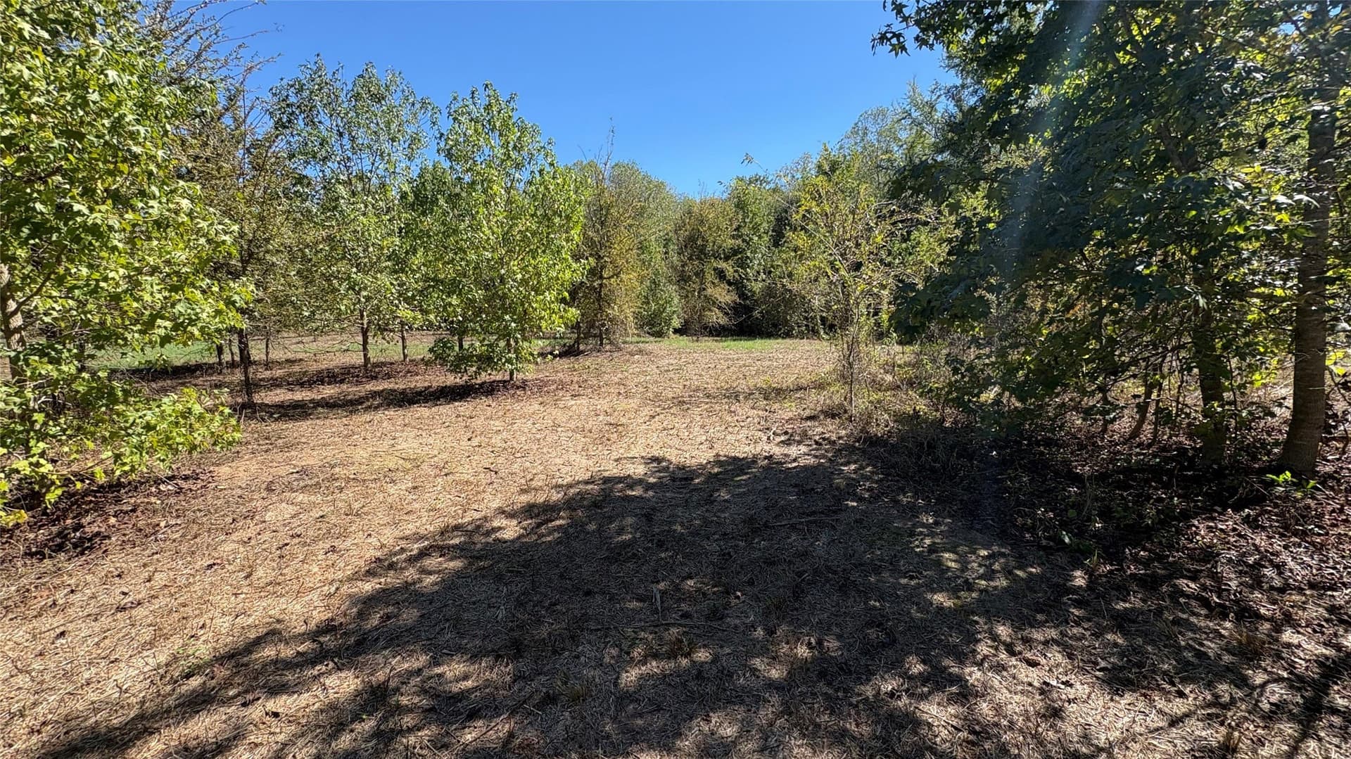 3.52 acres in Wood County - photo 4