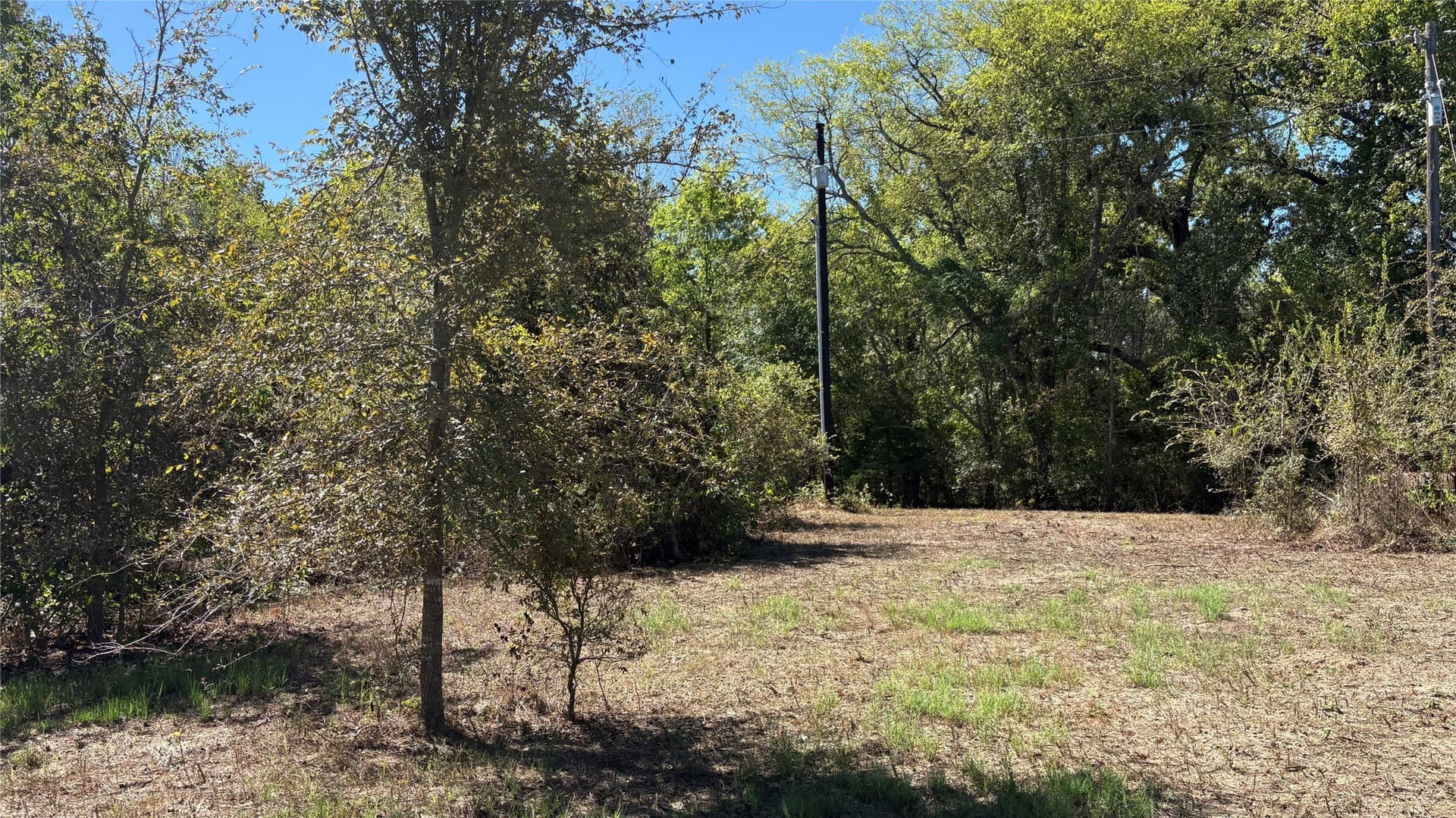 3.52 acres in Wood County - photo 13