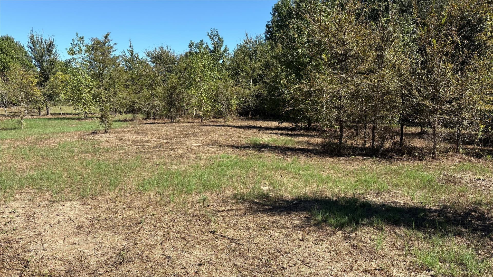 3.52 acres in Wood County - photo 8