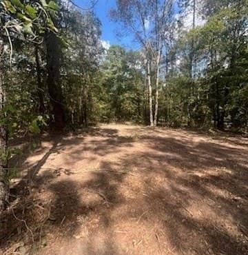 10.13 acres in Upshur County gallery image 4